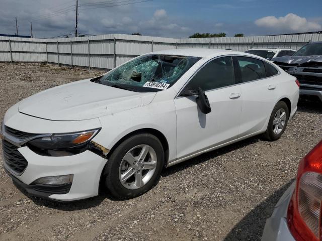 CHEVROLET MALIBU LS 2019 with VIN 1G1ZB5ST5KF175603 - Photo from auction