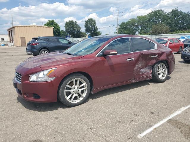 NISSAN MAXIMA S 2011 with VIN 1N4AA5APXBC831927 - Photo from auction