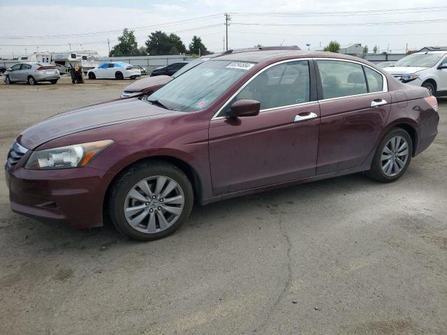 HONDA ACCORD EXL 2011 with VIN 1HGCP3F88BA021815 - Photo from auction