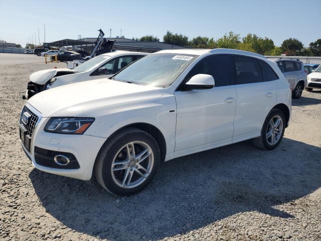 AUDI Q5 PREMIUM 2010 with VIN WA1MKAFP2AA101181 - Photo from auction