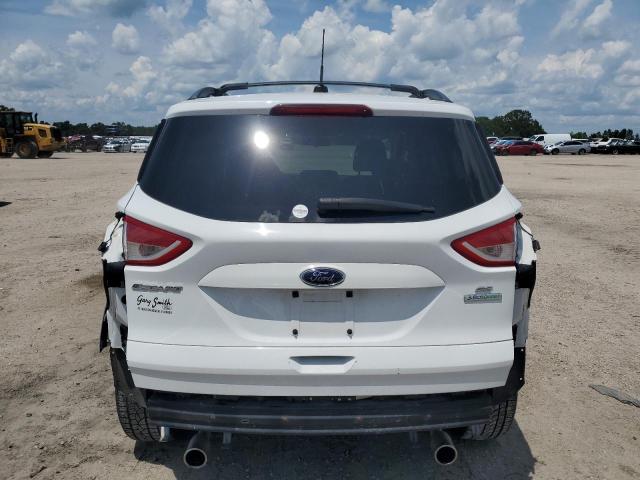 Photo 6 from auction – 2013 FORD ESCAPE SE with VIN 1FMCU0GX2DUA98060