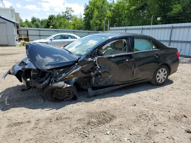 TOYOTA COROLLA BA 2010 with VIN 1NXBU4EE3AZ180203 - Photo from auction