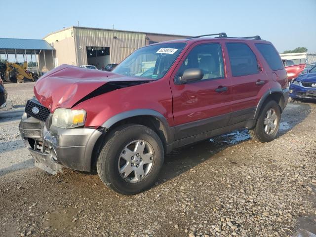 FORD ESCAPE XLT 2006 with VIN 1FMCU93136KC94402 - Photo from auction