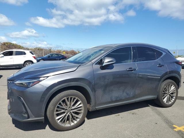 LEXUS NX 350 2022 with VIN JTJHGCEZ2N2006401 - Photo from auction