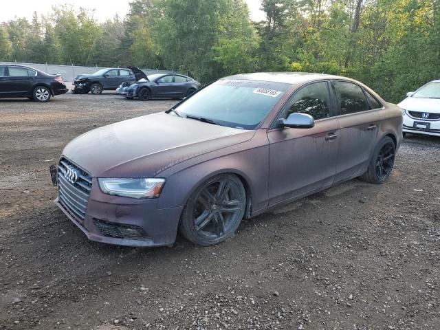 AUDI A4 PREMIUM 2013 with VIN WAUFFCFL7DN005469 - Photo from auction