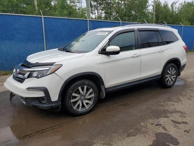 HONDA PILOT BLAC 2020 with VIN 5FNYF6H78LB500290 - Photo from auction