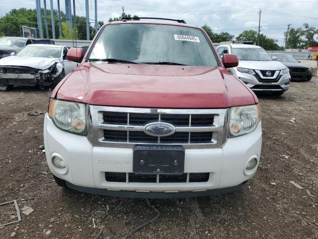 Photo 5 from auction – 2011 FORD ESCAPE LIM with VIN 1FMCU0EG5BKB97466