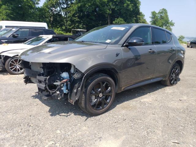DODGE HORNET R/T PLUS 2024 with VIN ZACPDFDW4R3A08332 - Photo from auction