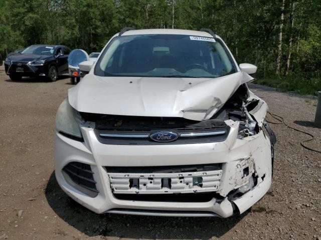 Photo 5 from auction – 2014 FORD ESCAPE SE with VIN 1FMCU9GX6EUA25439