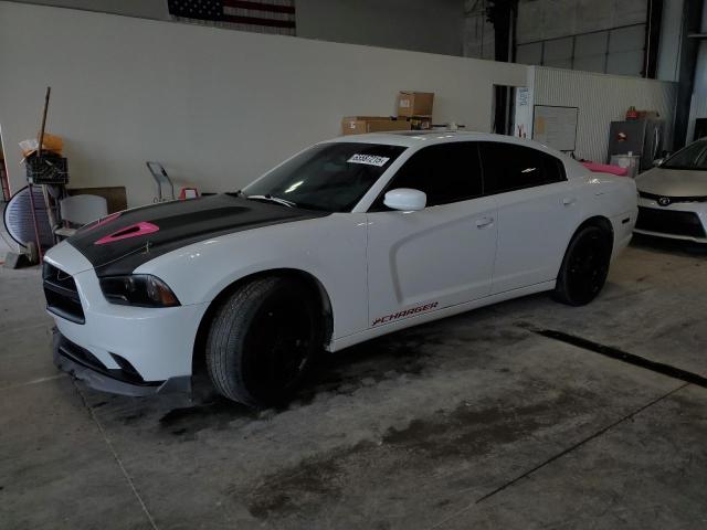 DODGE CHARGER R/ 2014 with VIN 2C3CDXDT7EH117483 - Photo from auction