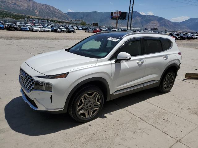 HYUNDAI SANTA FE 2021 with VIN 5NMS4DAL7MH308642 - Photo from auction