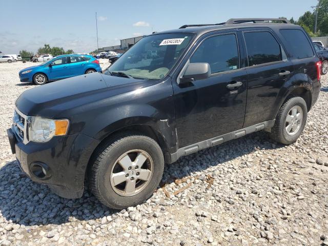 FORD ESCAPE XLT 2011 with VIN 1FMCU0DGXBKC07085 - Photo from auction