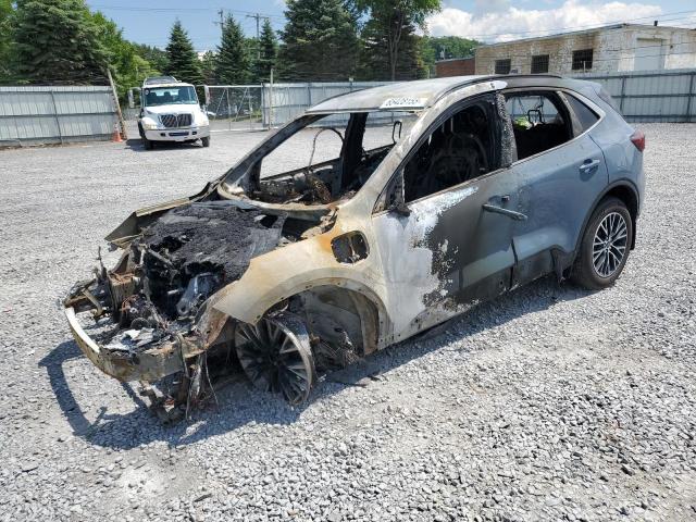 FORD ESCAPE 2025 with VIN 1FMCU0E16SUA77868 - Photo from auction