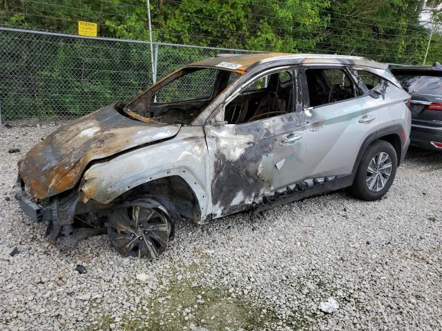 HYUNDAI TUCSON BLU 2024 with VIN KM8JBCD17RU193509 - Photo from auction