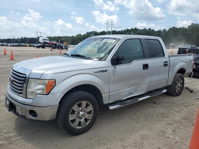 FORD F150 2010 with VIN 1FTEW1C8XAFA04308 - Photo from auction