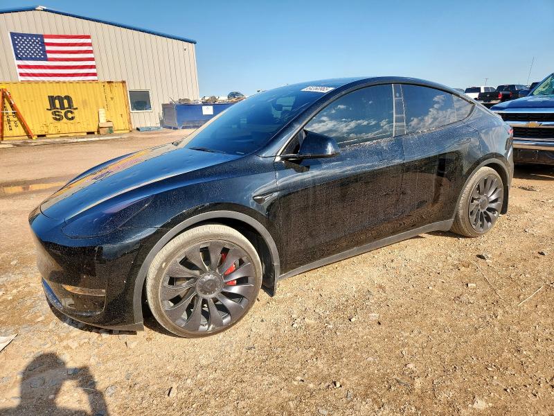 TESLA MODEL Y 2023 with VIN 7SAYGDEF8PF664810 - Photo from auction