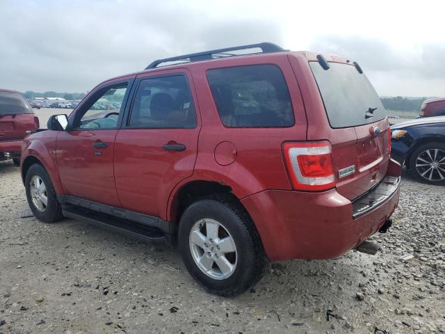 Photo 2 from auction – 2011 FORD ESCAPE XLT with VIN 1FMCU0DG5BKB97534