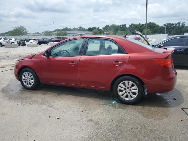 Photo 2 from auction – 2011 KIA FORTE EX with VIN KNAFU4A24B5461937