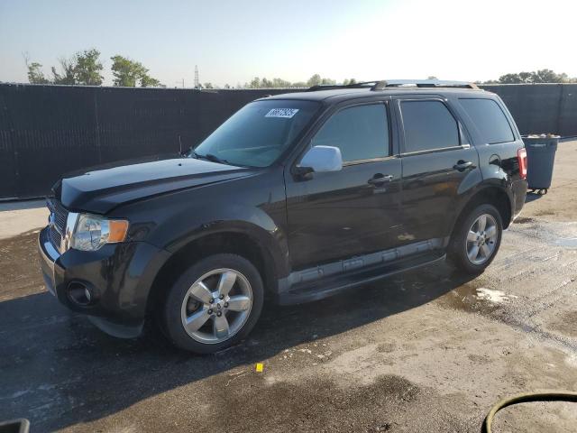 FORD ESCAPE LIM 2011 with VIN 1FMCU0EG2BKC52083 - Photo from auction