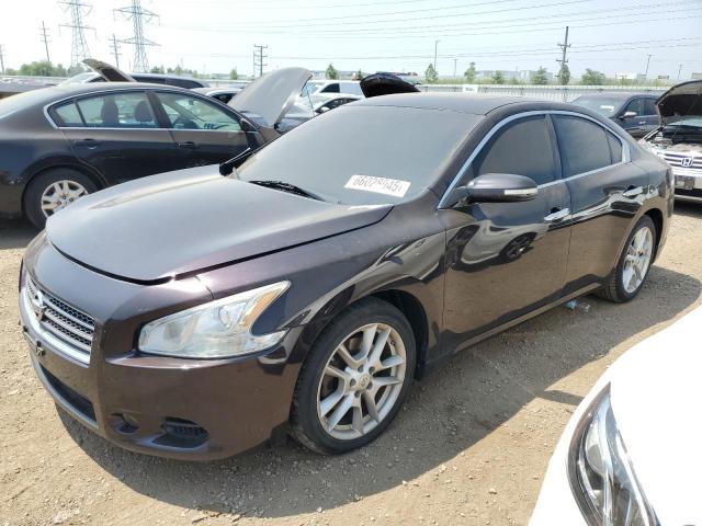 NISSAN MAXIMA S 2011 with VIN 1N4AA5AP4BC837187 - Photo from auction
