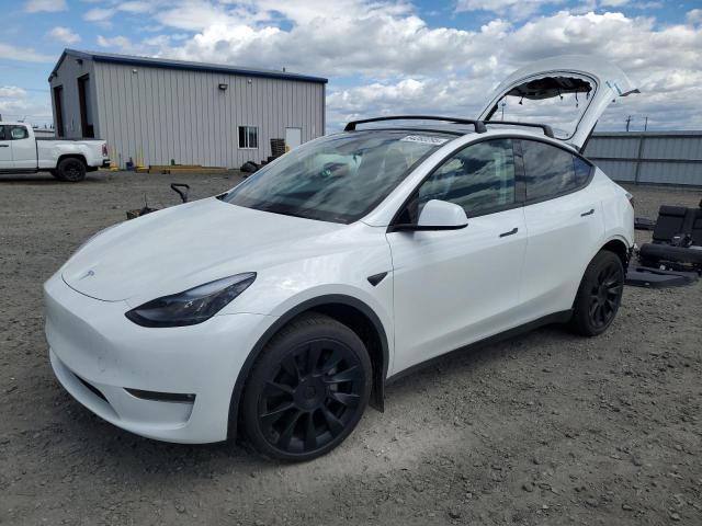 TESLA MODEL Y 2025 with VIN 7SAYGAEE0SF295973 - Photo from auction