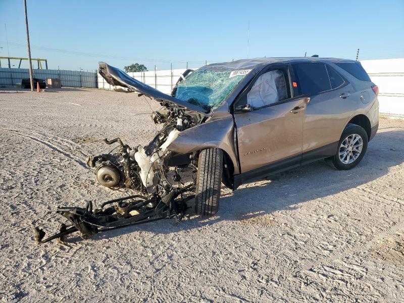 CHEVROLET EQUINOX LS 2019 with VIN 2GNAXHEVXK6222548 - Photo from auction