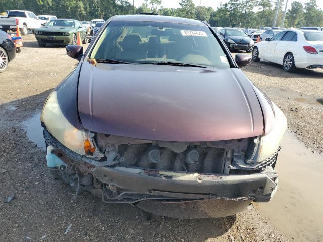 Photo 5 from auction – 2010 HONDA ACCORD EXL with VIN 5KBCP3F85AB013385