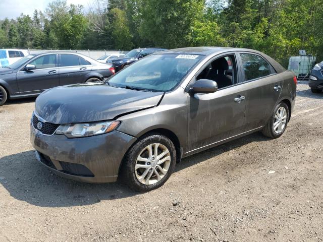 KIA FORTE EX 2011 with VIN KNAFU4A29B5453171 - Photo from auction