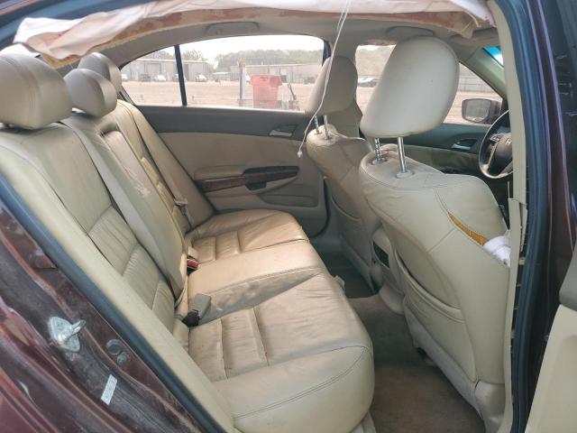 Photo 10 from auction – 2010 HONDA ACCORD EXL with VIN 5KBCP3F85AB011362