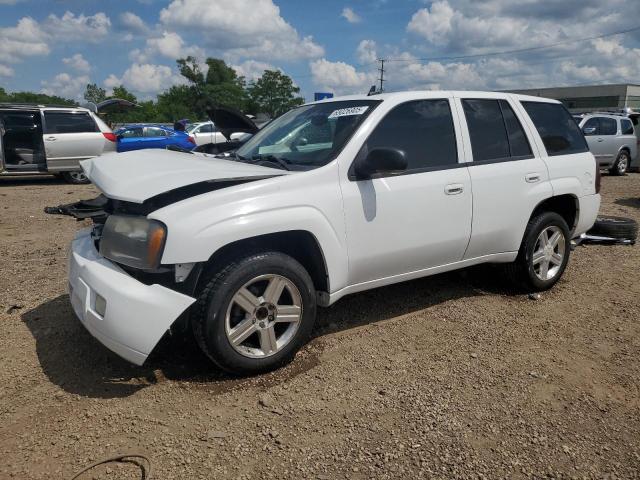 CHEVROLET TRAILBLAZE 2008 with VIN 1GNDS13S182138930 - Photo from auction