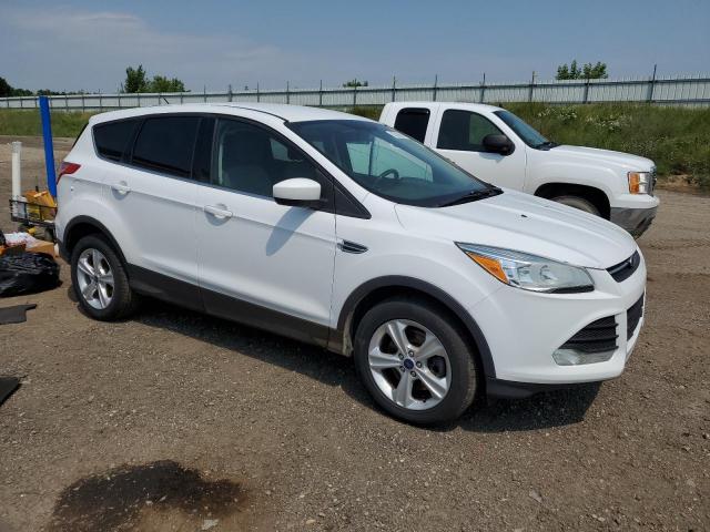 Photo 4 from auction – 2014 FORD ESCAPE SE with VIN 1FMCU9G97EUC96303
