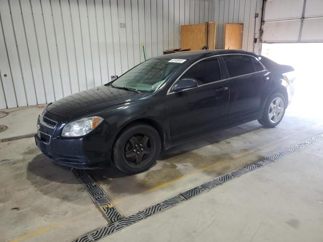 CHEVROLET MALIBU LS 2010 with VIN 1G1ZB5EB6AF311528 - Photo from auction