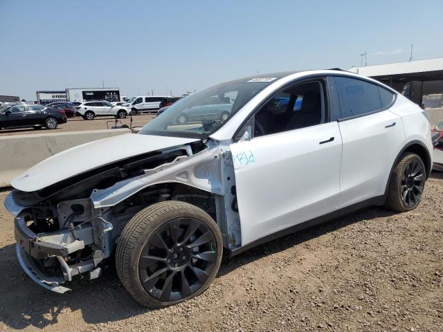 TESLA MODEL Y 2024 with VIN 7SAYGDEE3RF154326 - Photo from auction