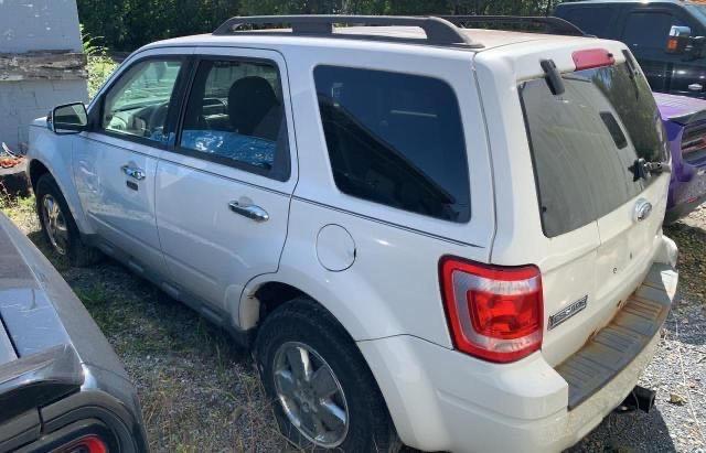 Photo 3 from auction – 2009 FORD ESCAPE XLT with VIN 1FMCU03G09KB88977