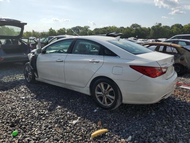 Photo 2 from auction – 2011 HYUNDAI SONATA SE with VIN 5NPEC4AB0BH303774