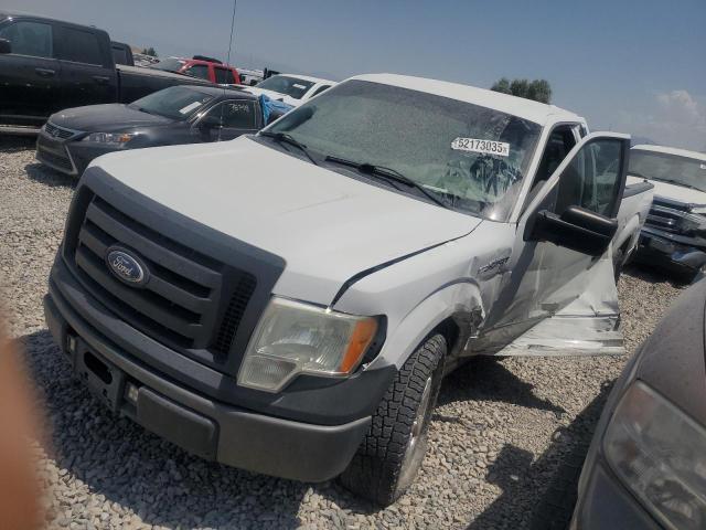 FORD F150 2010 with VIN 1FTMF1C82AKE65683 - Photo from auction