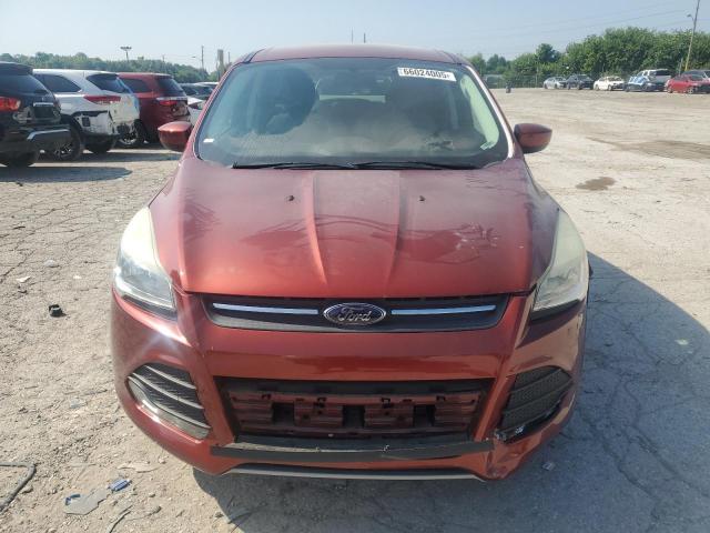 Photo 5 from auction – 2014 FORD ESCAPE SE with VIN 1FMCU9GX4EUE08442
