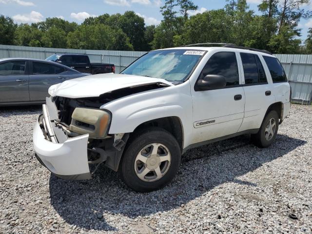 Photo 1 from auction – 2003 CHEVROLET TRAILBLAZE with VIN 1GNDS13SX32275423