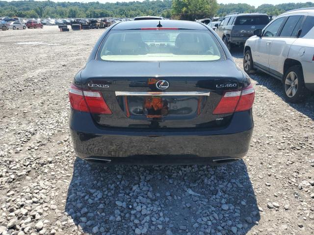 Photo 6 from auction – 2009 LEXUS LS 460 with VIN JTHCL46FX95003199