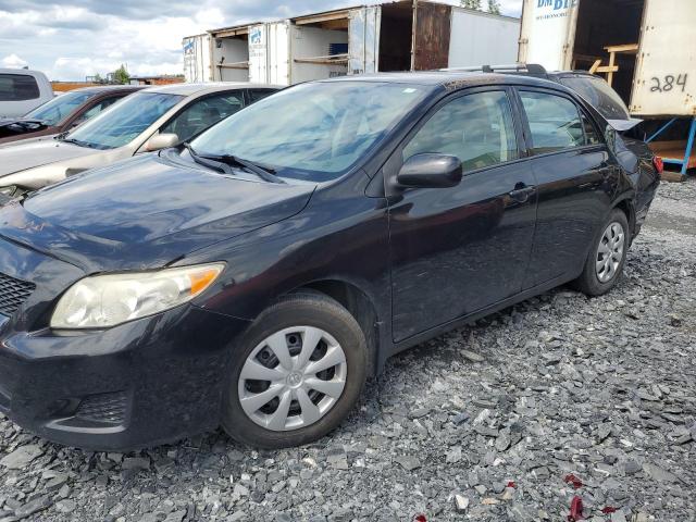 TOYOTA COROLLA BA 2010 with VIN 2T1BU4EEXAC416430 - Photo from auction