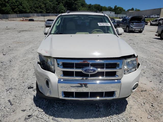 Photo 5 from auction – 2010 FORD ESCAPE LIM with VIN 1FMCU0EG4AKC46400