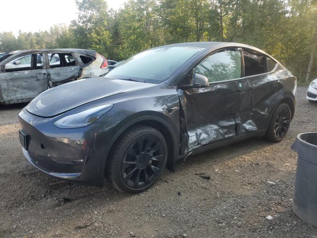 TESLA MODEL Y 2024 with VIN 7SAYGDEE9RF062220 - Photo from auction