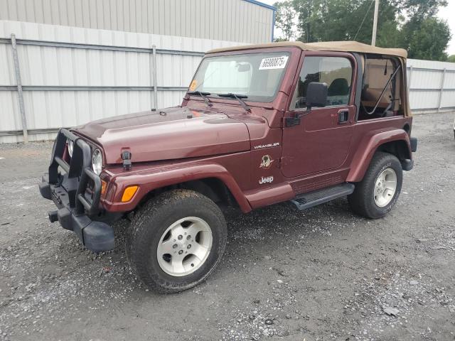 JEEP WRANGLER / 2002 with VIN 1J4FA59S72P766921 - Photo from auction