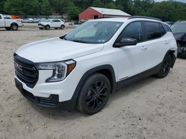 GMC TERRAIN SL 2022 with VIN 3GKALTEV3NL293232 - Photo from auction