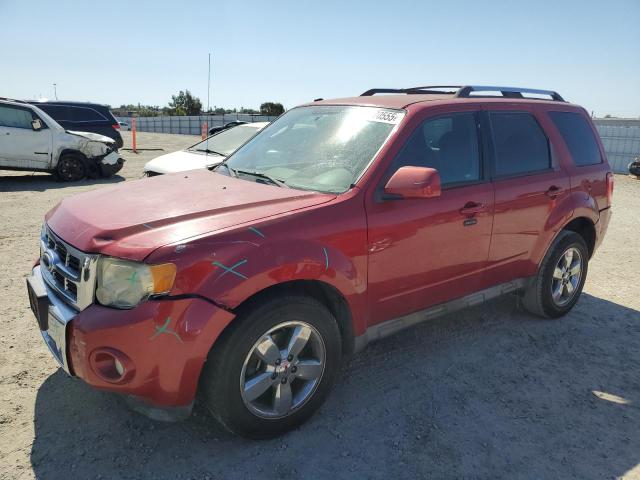 FORD ESCAPE LIM 2010 with VIN 1FMCU0EG6AKA11240 - Photo from auction