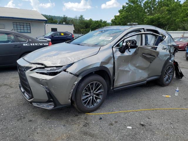 LEXUS NX 350 PRE 2025 with VIN 2T2GGCEZ6SC075891 - Photo from auction