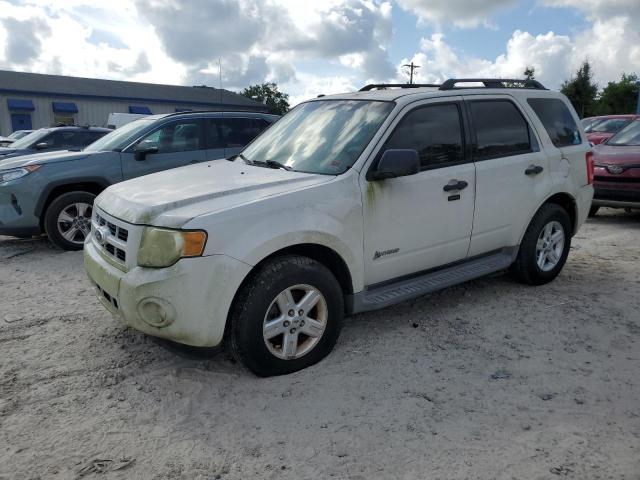 Photo 1 from auction – 2010 FORD ESCAPE HYB with VIN 1FMCU4K33AKC67070