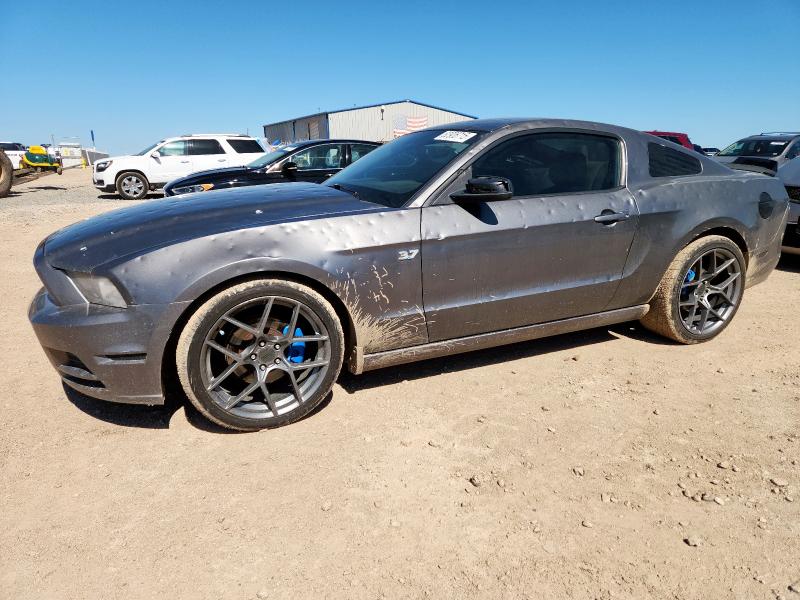 Photo 1 from auction – 2014 FORD MUSTANG with VIN 1ZVBP8AM2E5299552
