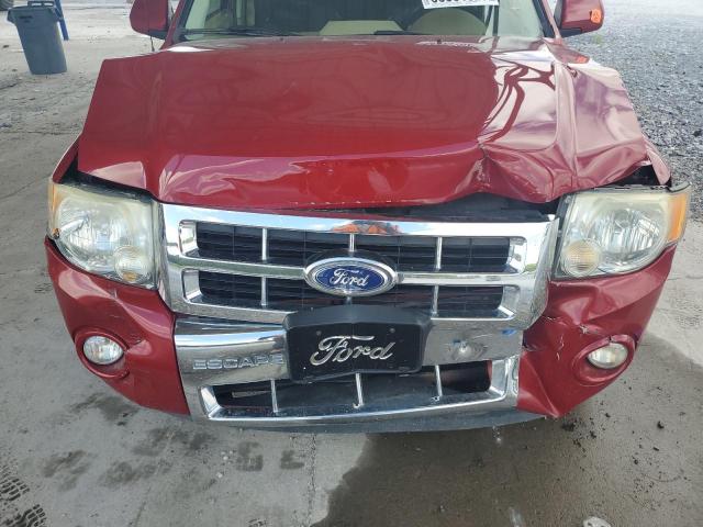 Photo 12 from auction – 2010 FORD ESCAPE LIM with VIN 1FMCU0EG0AKD30973