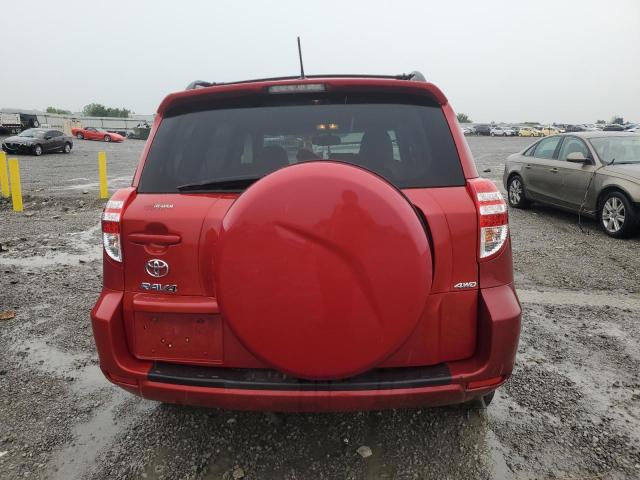 Photo 6 from auction – 2011 TOYOTA RAV4 with VIN 2T3BF4DV5BW124963